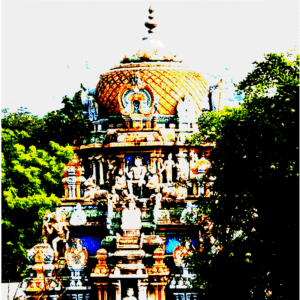 Daily Mystic Yogic Rituals- 5 Wheels of Consciousness