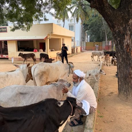 WhatsApp Image 2025-12-31 at 12.15.45 PM